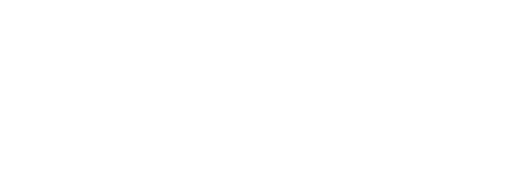 LUDO